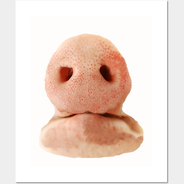 Pig nose Wall Art by dodgerfl